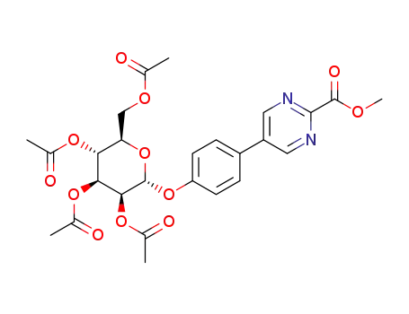 1312312-95-0